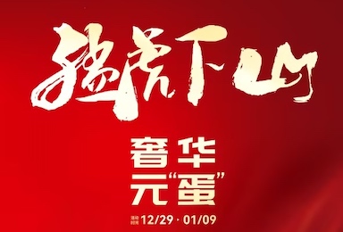 双虎定制元旦盛启，优惠盛宴震撼来袭