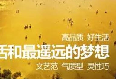 优质好物，选择双虎木门