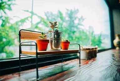 双虎木门 | 慢下来，去感受生活