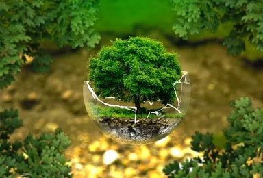 双虎木门 | 专注品质，给你可以森呼吸的家