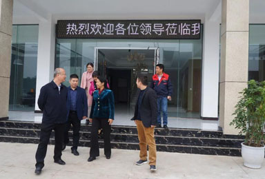 简讯 | 大足区区委常委、统战部部长廖文丽带队调研指导重庆双虎套装门有限公司运营