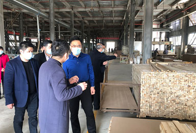 中共大足区委常委于会文书记等相关领导莅临双虎木门，强调：复工防疫两手抓，安全发展两